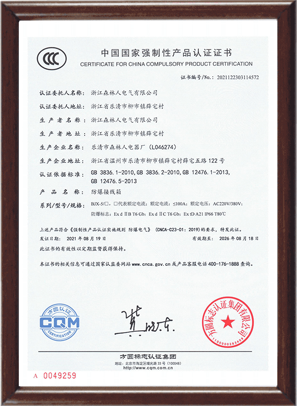 ISO 9001 quality system certificate placeholder
